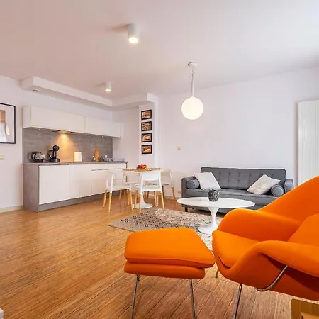 Dream * 博格泽利卡