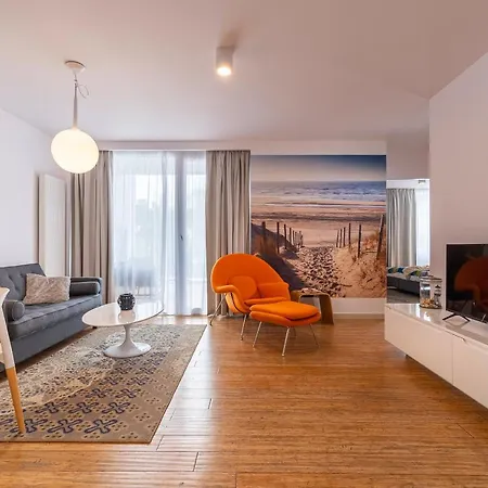 Dream 포고르젤리차